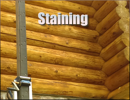  Newville, Alabama Log Home Staining